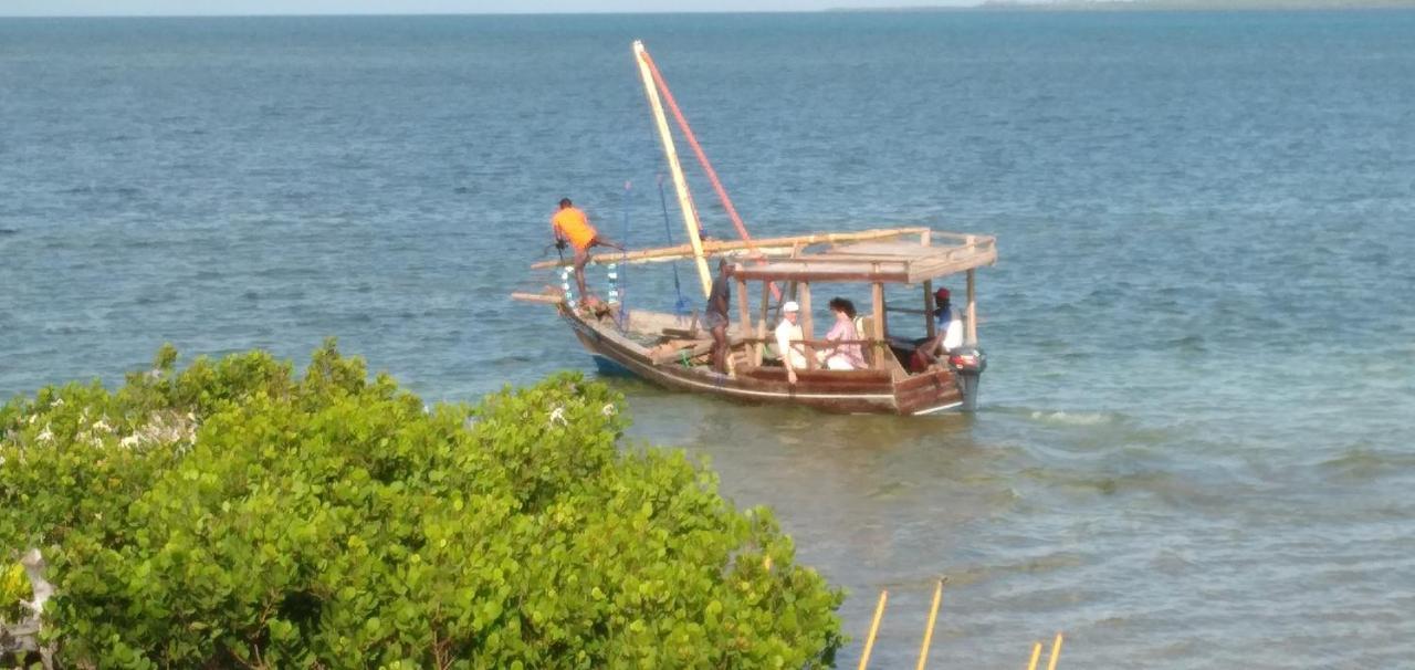 Chole Foxes Lodge Ngoại thất bức ảnh