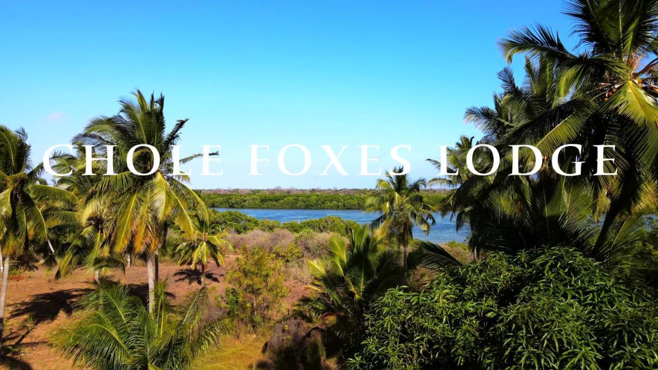 Chole Foxes Lodge Ngoại thất bức ảnh
