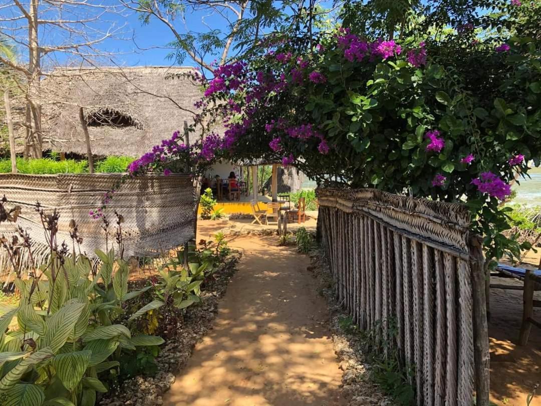 Chole Foxes Lodge Ngoại thất bức ảnh