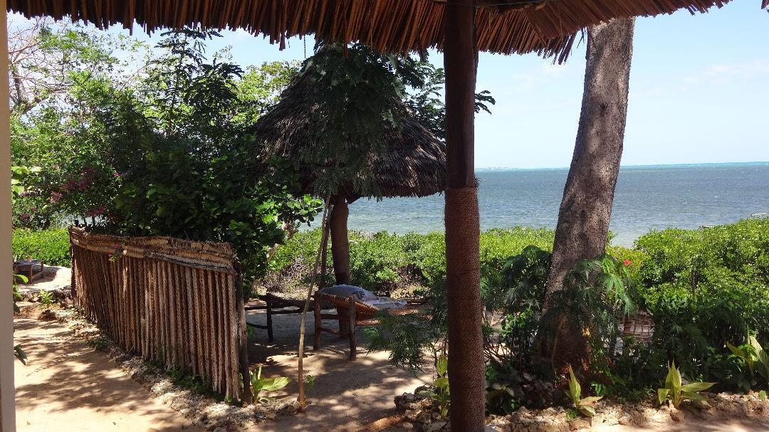 Chole Foxes Lodge Ngoại thất bức ảnh