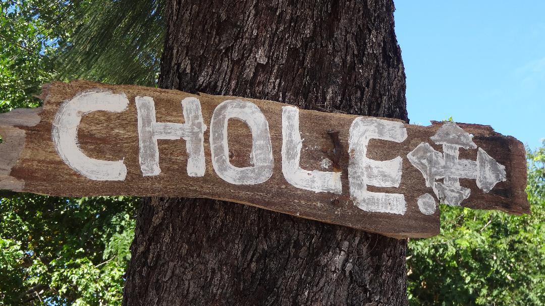 Chole Foxes Lodge Ngoại thất bức ảnh