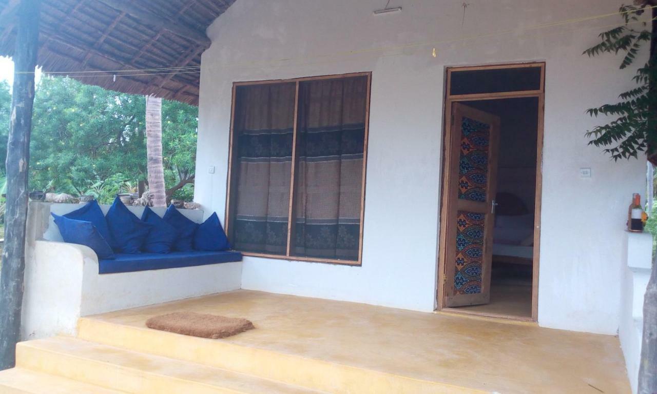 Chole Foxes Lodge Ngoại thất bức ảnh
