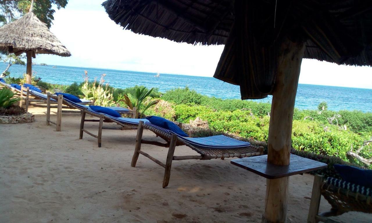 Chole Foxes Lodge Ngoại thất bức ảnh