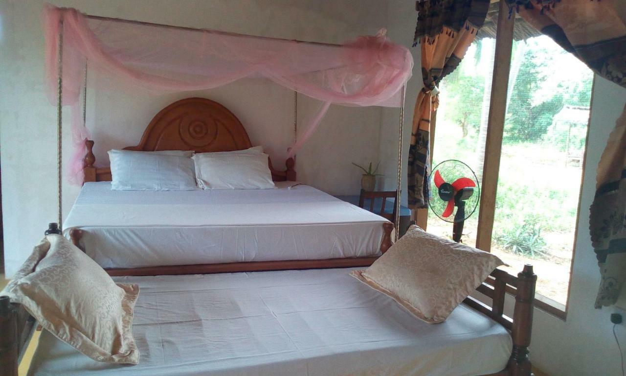 Chole Foxes Lodge Ngoại thất bức ảnh