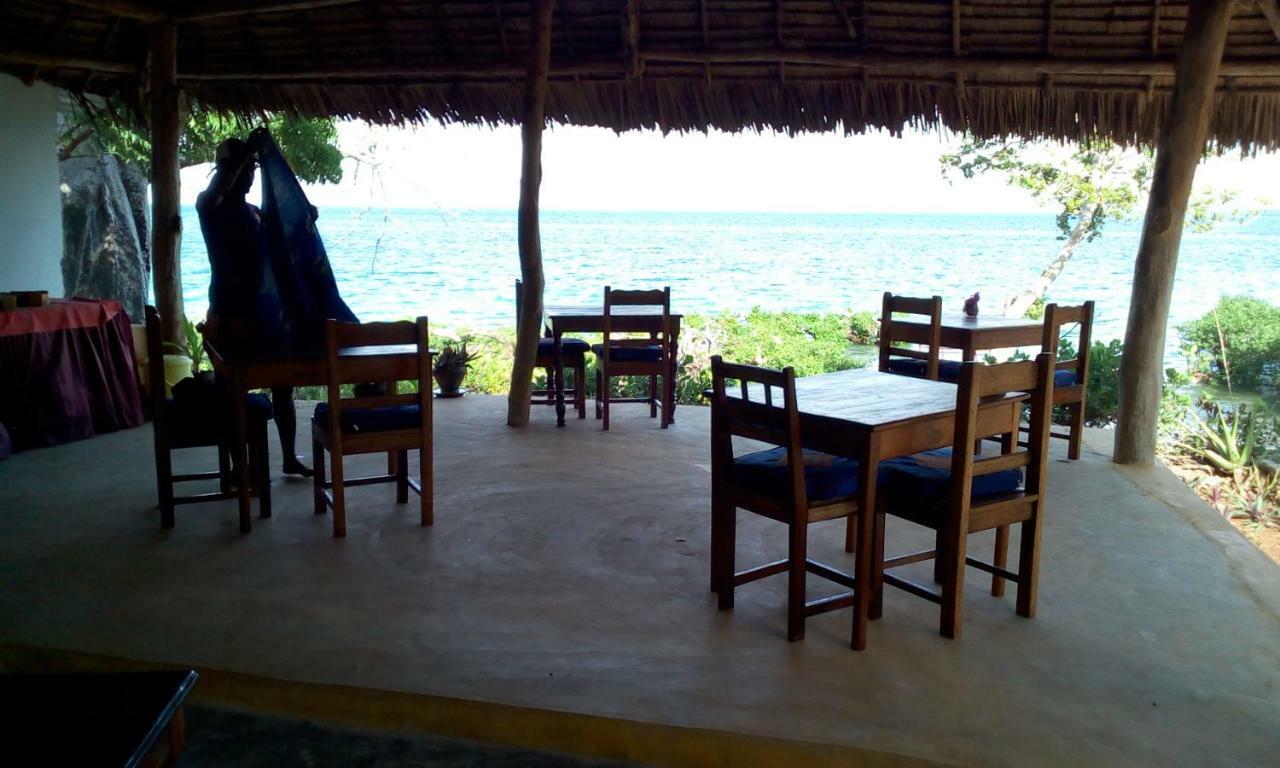 Chole Foxes Lodge Ngoại thất bức ảnh